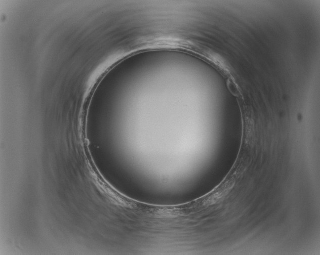 X0000054431480200508011344