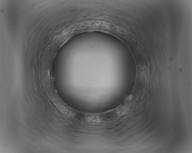 X0000054431489200508011343