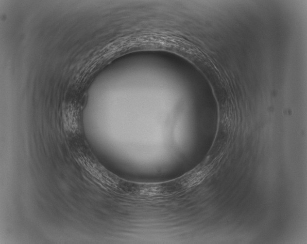 X0000054431490200508011343