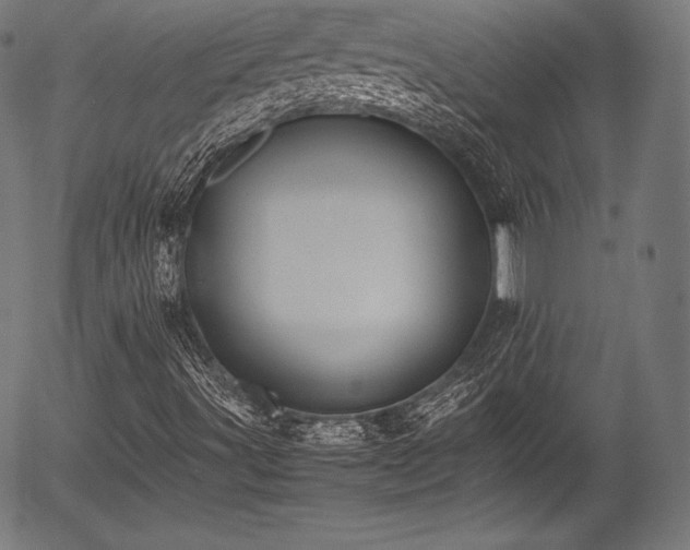 X0000054431491200508011343