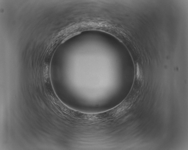 X0000054431492200508011343