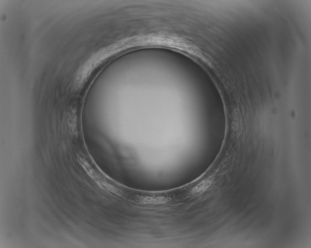 X0000054431499200508011344