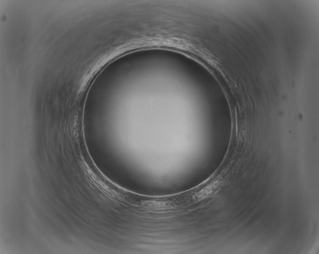 X0000054431500200508011344