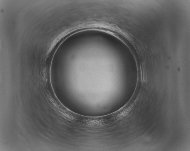 X0000054431501200508011344