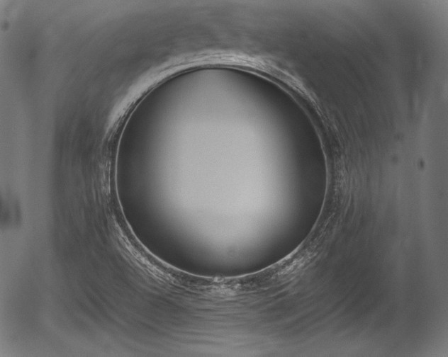 X0000054431504200508011344