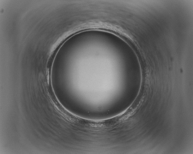 X0000054431509200508011344