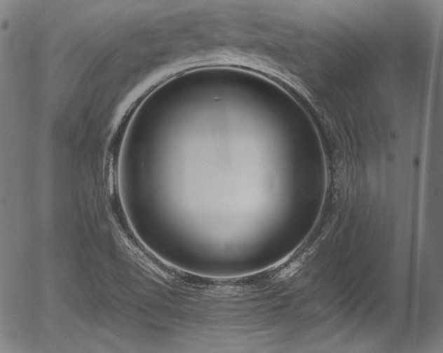 X0000054431510200508011344