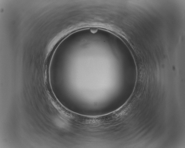 X0000054431511200508011344