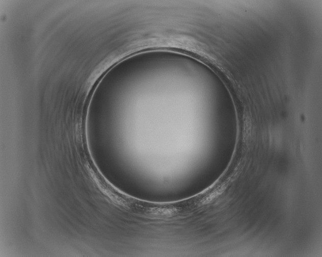 X0000054431513200508011344