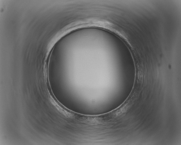 X0000054431516200508011344