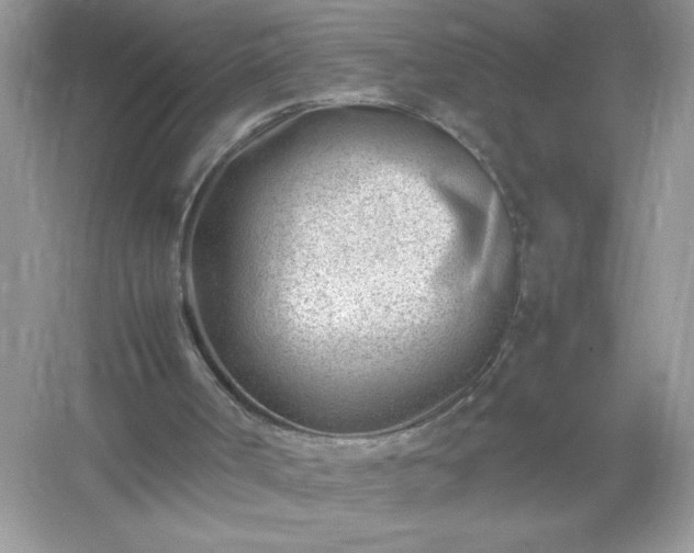 X0000054430002200508051845