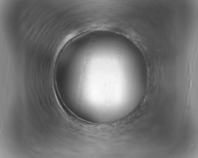 X0000054430003200508051845