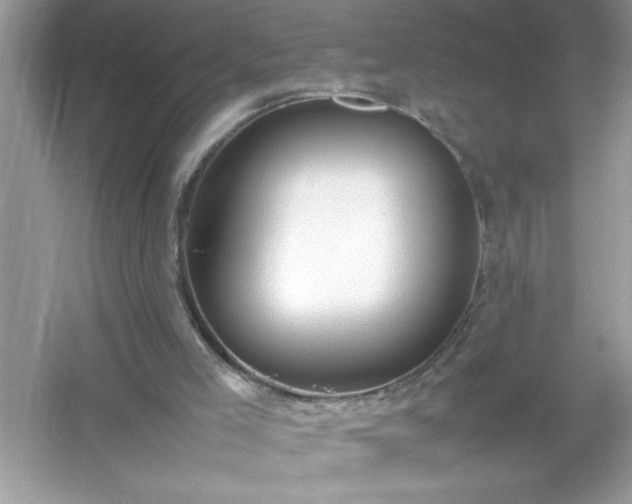 X0000054430005200508051845