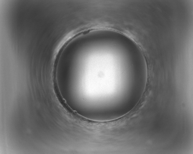 X0000054430007200508051845