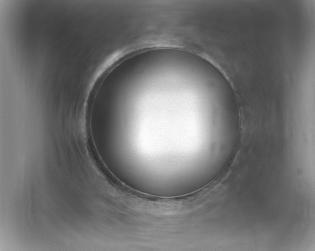 X0000054430008200508051845