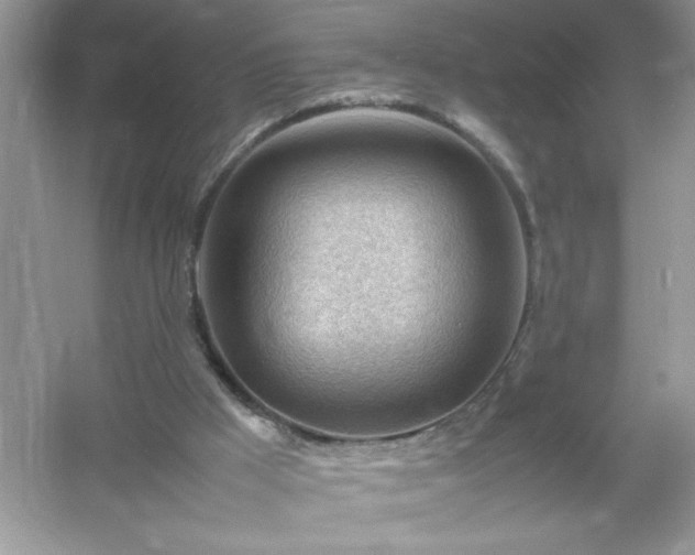 X0000054430009200508051845