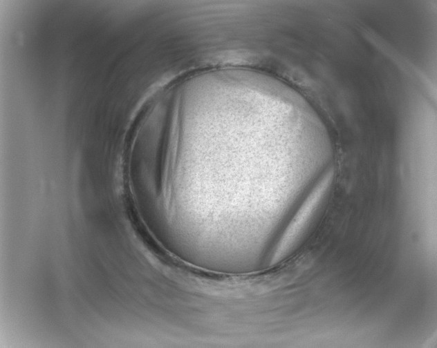 X0000054430012200508051845