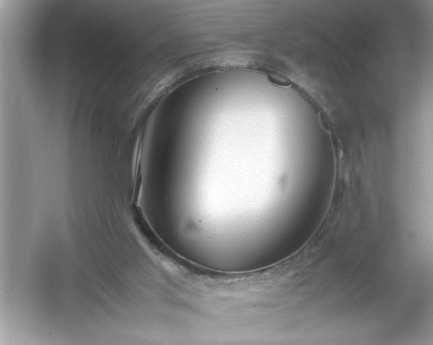 X0000054430013200508051845