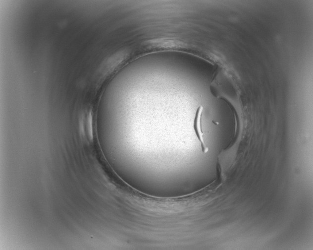 X0000054430014200508051844