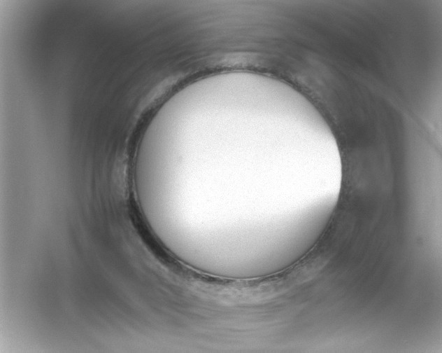 X0000054430016200508051844