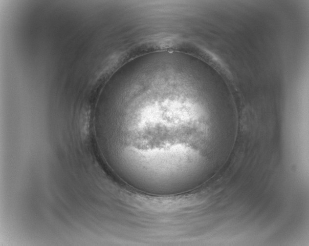 X0000054430018200508051844