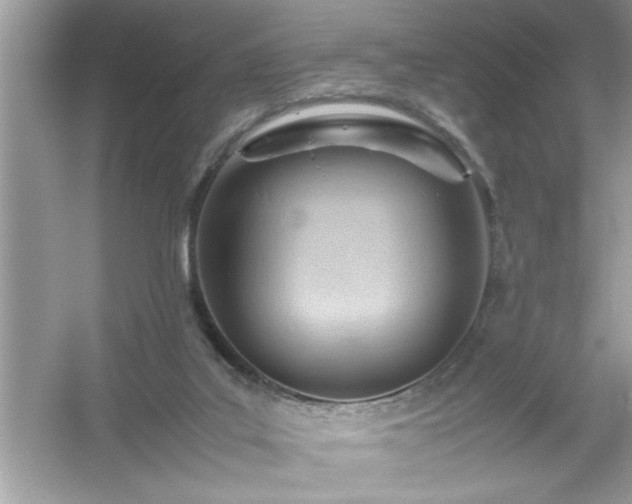 X0000054430019200508051844