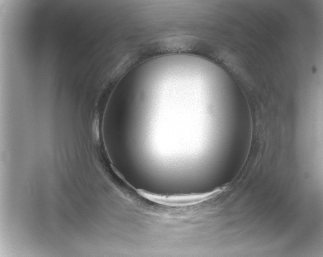 X0000054430021200508051844