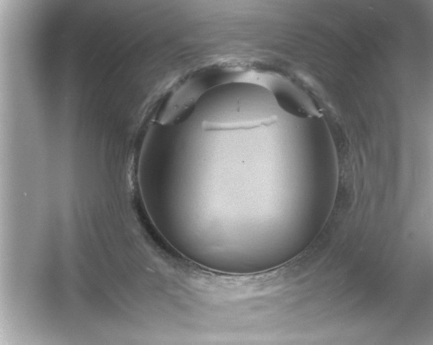 X0000054430023200508051844