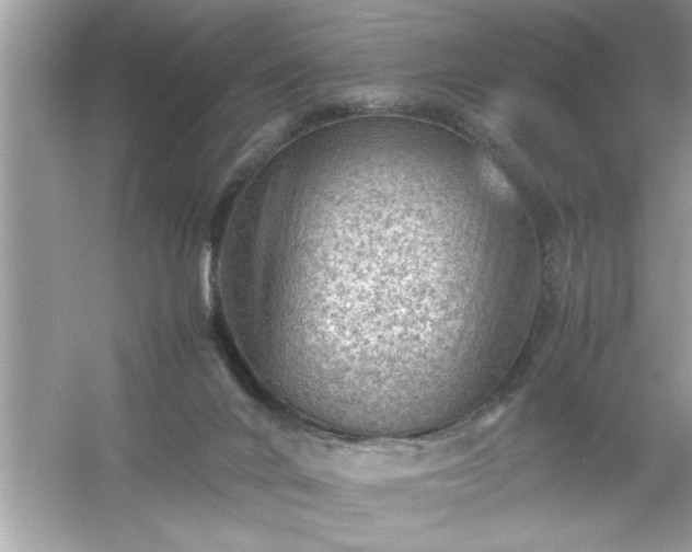 X0000054430024200508051844