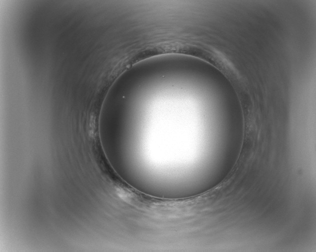 X0000054430025200508051844