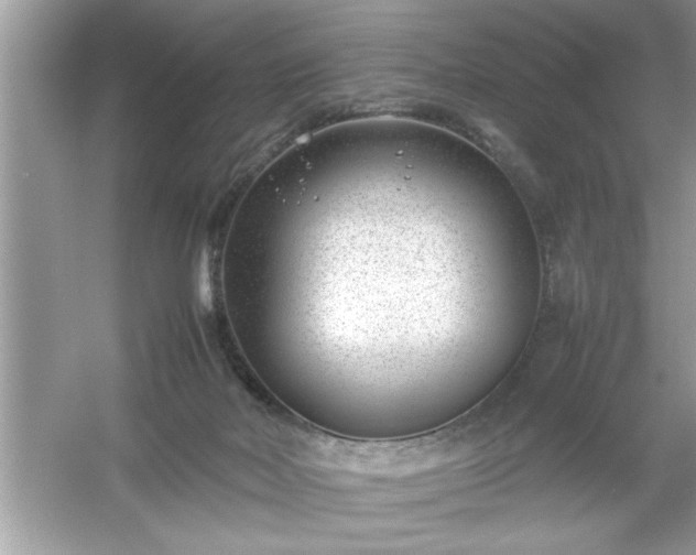 X0000054430026200508051844