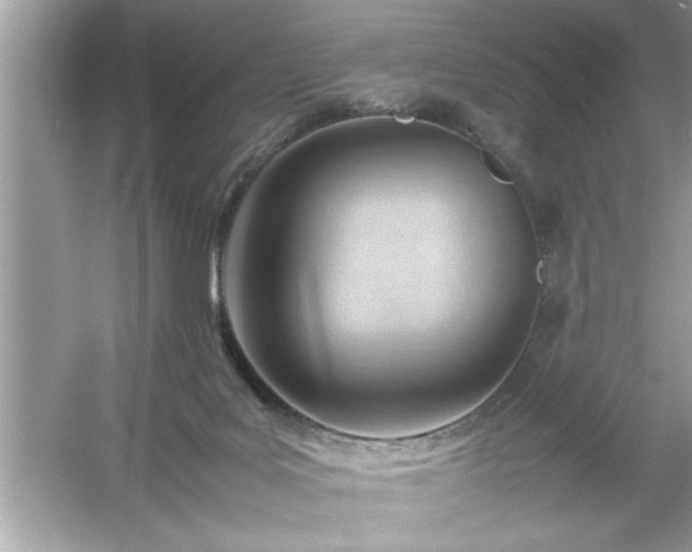 X0000054430027200508051844