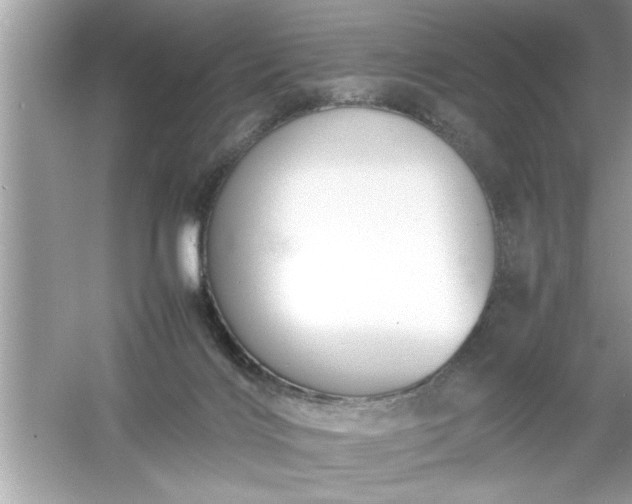 X0000054430028200508051844