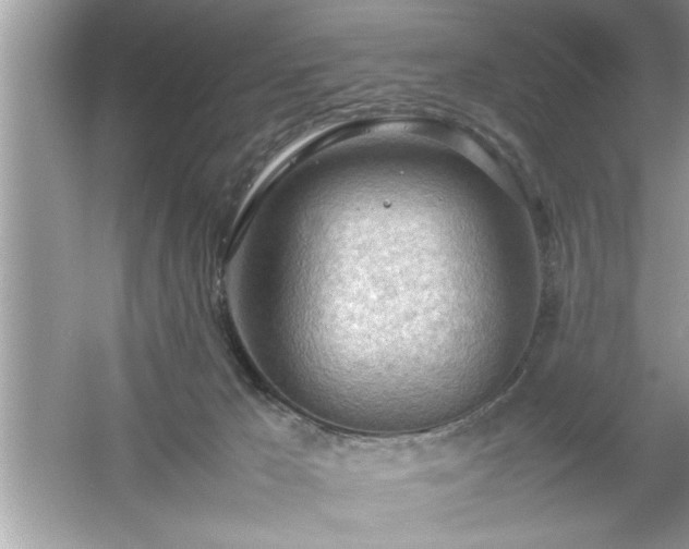 X0000054430029200508051844