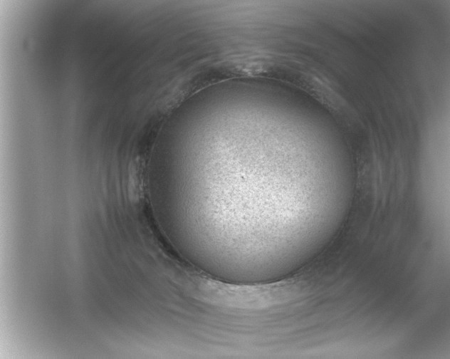 X0000054430030200508051844