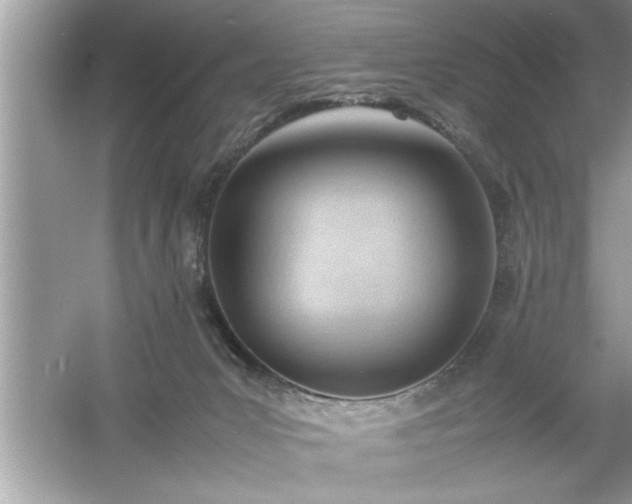 X0000054430031200508051844