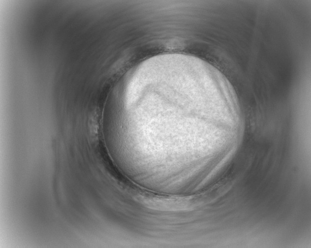 X0000054430032200508051844