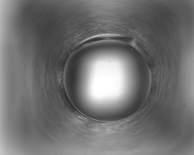 X0000054430033200508051844