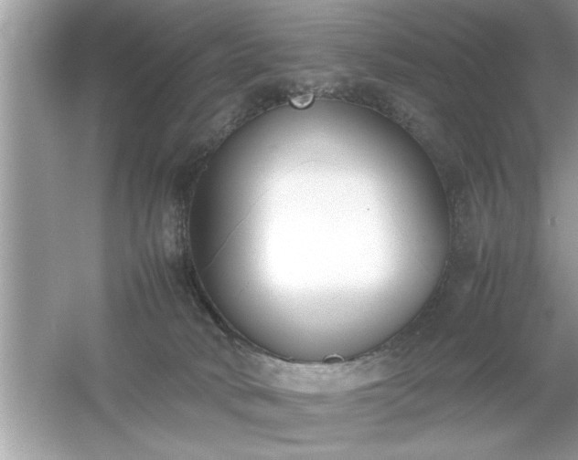 X0000054430034200508051844