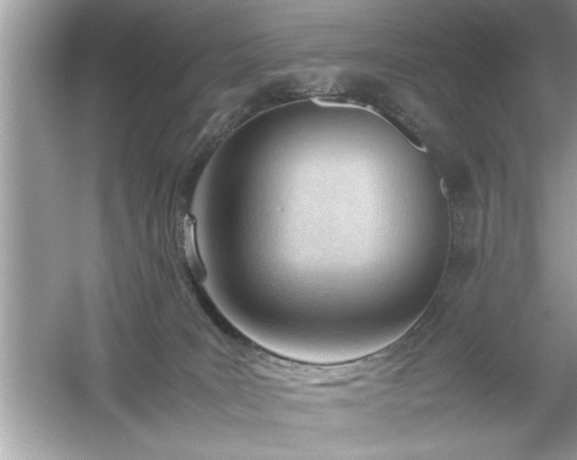 X0000054430035200508051844