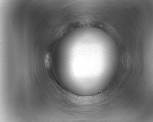 X0000054430038200508051844