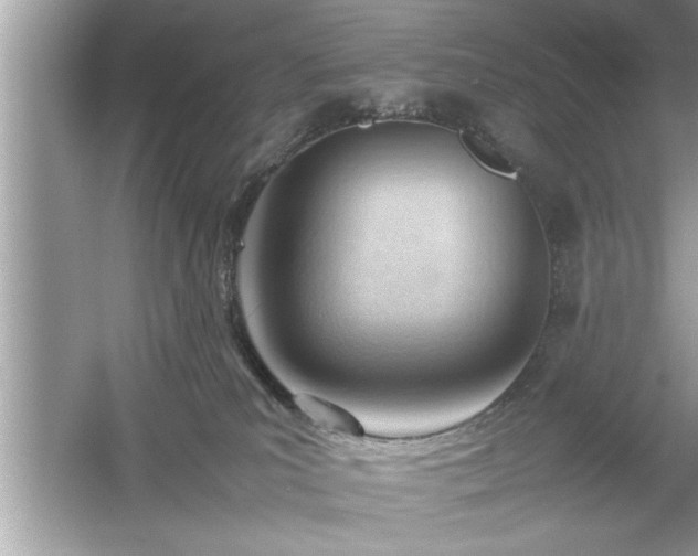 X0000054430039200508051844