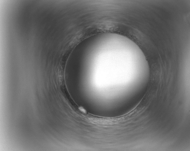 X0000054430040200508051844