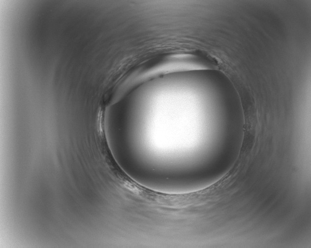 X0000054430041200508051844