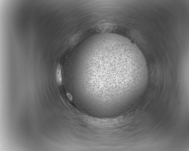 X0000054430042200508051844