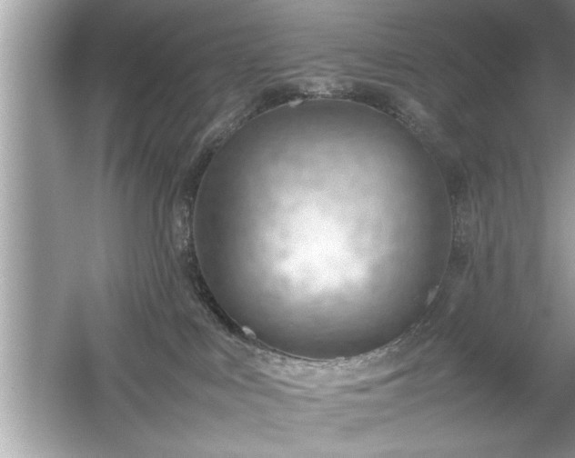 X0000054430043200508051844