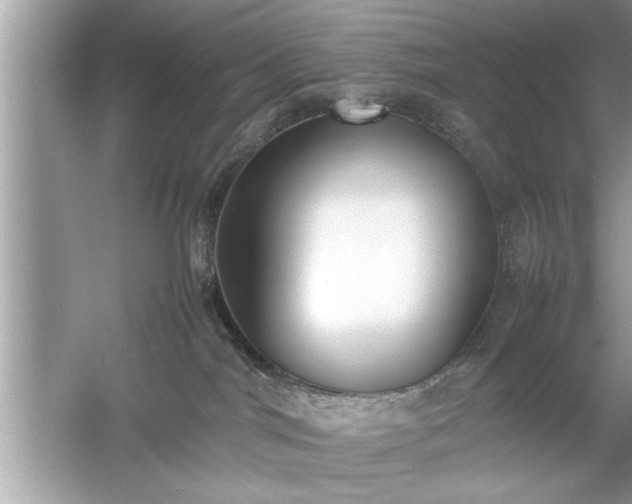 X0000054430044200508051844