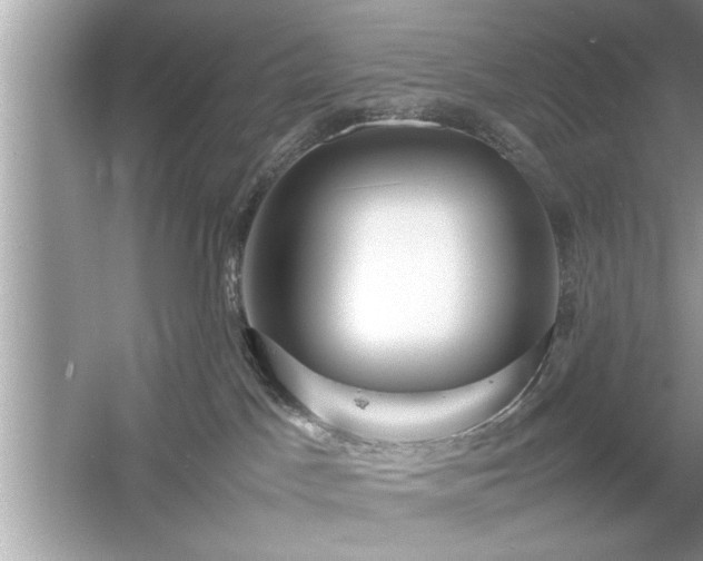 X0000054430045200508051844