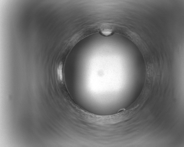 X0000054430046200508051844