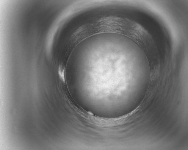 X0000054430047200508051844